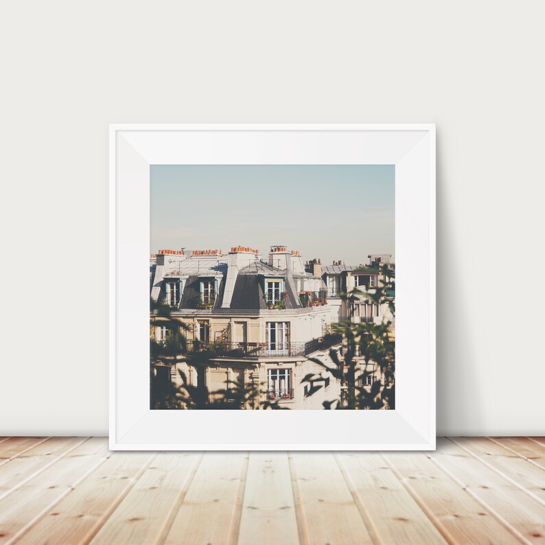 May include: A framed photograph of a Parisian building with a view of the rooftops and a tree in the foreground. The building is a light beige color with white trim and has a slate roof. The tree is green and leafy.
