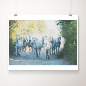 horse photography, Camargue horse print, galloping wild horses wall art, large horse print, Camargue photograph