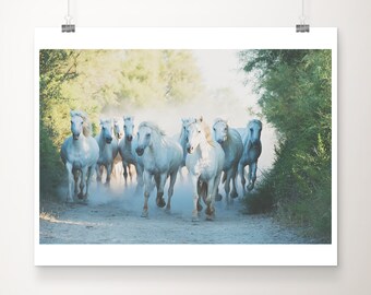 horse photograph, Camargue horse print, galloping wild horses print, Camargue photograph, Provence print, animal photograph, horse decor