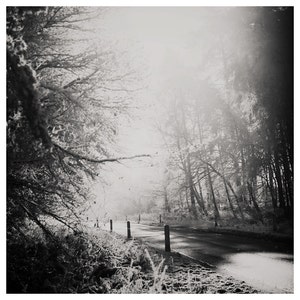 black and white woodland photograph, winter fog print, nature photography, woodland road photograph, English decor image 2
