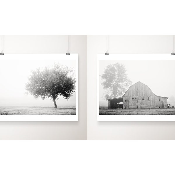 black and white rustic barn print set, tree photograph, midwest art, large wall art