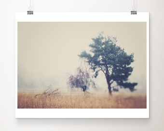 tree photograph, ethereal print, nature photography, winter tree print, rustic country decor, surreal print, botanical art