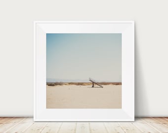 abandoned bleachers photograph, abandoned art, desert photograph, California print, steps print, Highway 395 print, travel photography