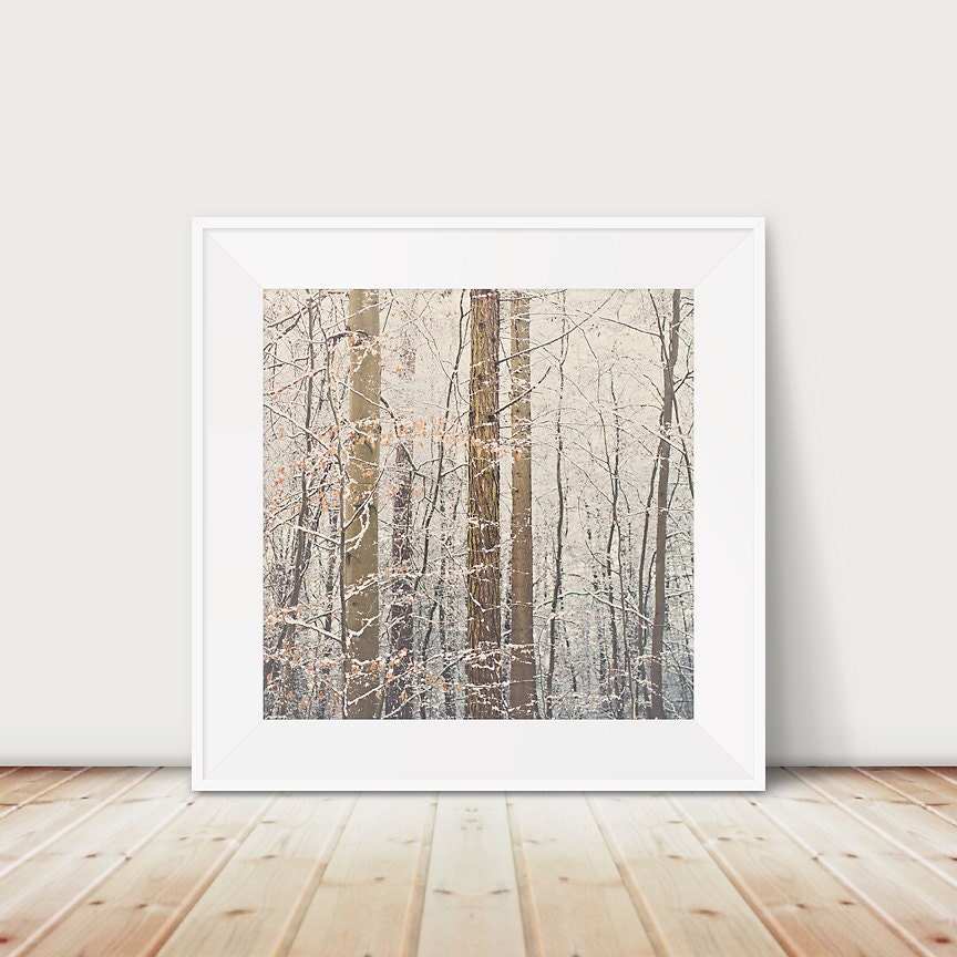 Winter Forest Print: Snowy Woodland Tree Photography (8x8)
