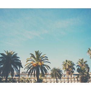 May include: A line of palm trees with green fronds against a clear, pale blue sky. The image has a vintage, slightly faded look. A building with white walls and a blue roof is visible behind the trees.