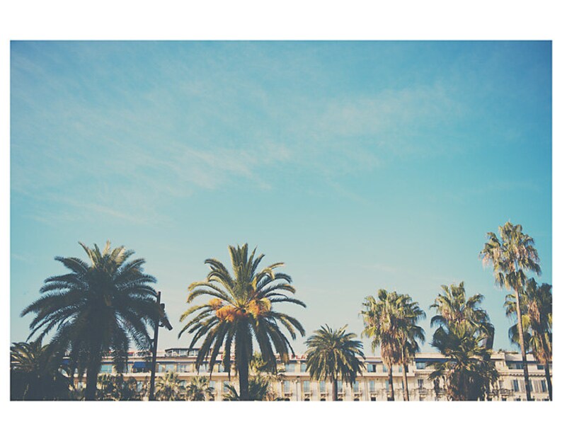 May include: A line of palm trees with green fronds against a clear, pale blue sky. The image has a vintage, slightly faded look. A building with white walls and a blue roof is visible behind the trees.