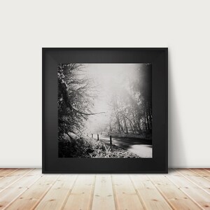 black and white woodland photograph, winter fog print, nature photography, woodland road photograph, English decor image 1