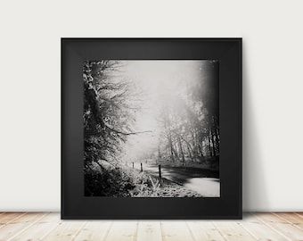 May include: A black and white photograph of a road leading through a misty forest. The road is lined with trees on either side, and the mist creates a sense of mystery and intrigue.