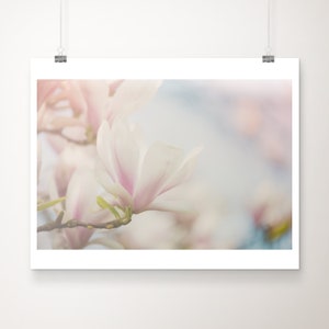 pink magnolia photograph, magnolia tree print, pastel home decor, nature photography, pink flower print, botanical wall art