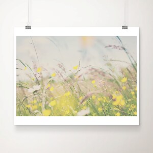 Buttercup Wildflower Print: Summer Meadow Botanical Wall Art