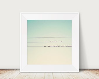 birds on wire photograph, mint green print, ombre decor, animal photography, bird in flight print, minimalist decor