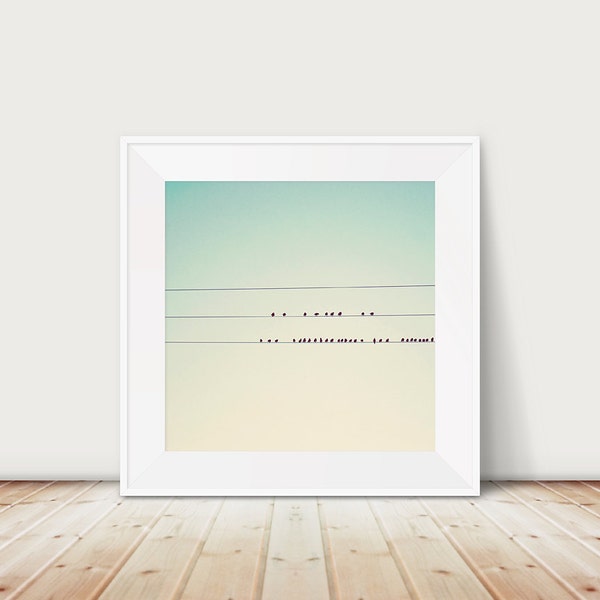 birds on wire photograph, mint green print, ombre decor, animal photography, bird in flight print, minimalist decor