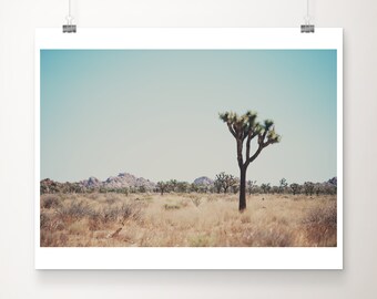 Joshua Tree photograph, Joshua Tree National Park print, California decor, west coast print, Mojave Desert print, wanderlust art