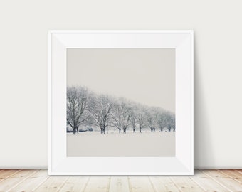 Cambridge Winter Landscape Photograph: Jesus Green Snow Print