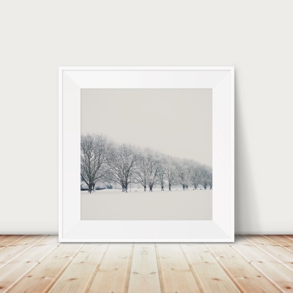 Cambridge Winter Landscape Photograph: Jesus Green Snow Print