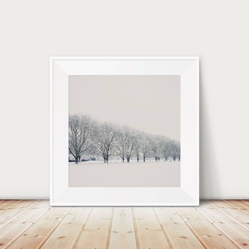 May include: A framed photograph of a snowy landscape with a row of trees in the distance. The trees are bare and covered in snow, and the sky is a light gray.