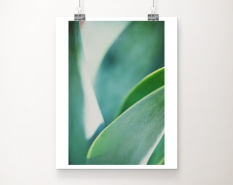 agave leaf print, botanical print, abstract art, large wall art, plant photograph, nature photography, vertical leaf photograph, green decor