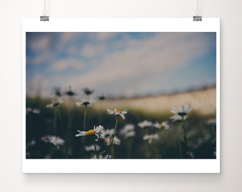 Bath photograph, Royal Crescent Bath print, Somerset photograph, Bath travel print, period building, Royal Crescent print, flower photograph