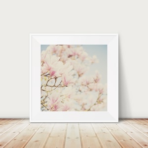 Pink Magnolia Photograph: Spring Botanical Print, Pastel Decor (12x12)