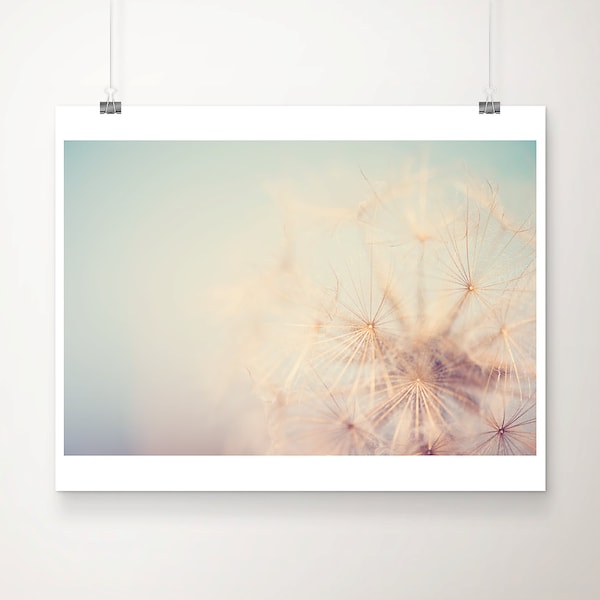Dandelion Seed Macro Photograph: Ombre Pastel Botanical Print