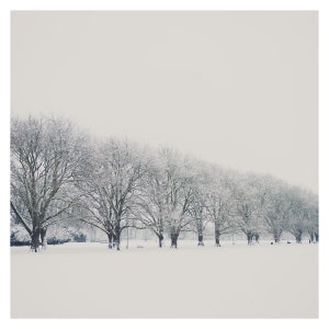 May include: A row of bare trees covered in snow stand in a snowy field. The trees are lined up in a row, and the snow is covering the ground. The sky is a light gray color.
