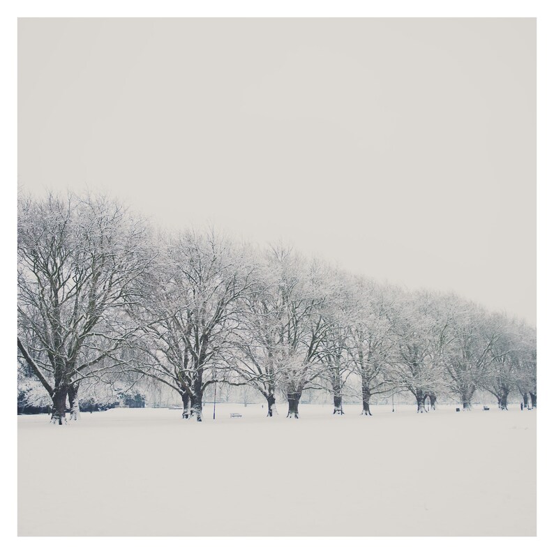 May include: A row of bare trees covered in snow stand in a snowy field. The trees are lined up in a row, and the snow is covering the ground. The sky is a light gray color.