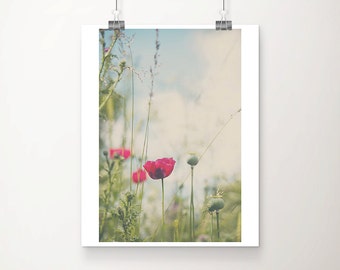 pink poppy photograph, pink flower print, neon pink decor, english garden art, botanical print