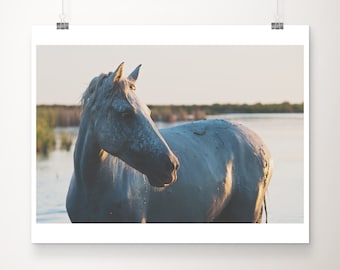 horse photography, Camargue Ponies print, wild horses wall art, Camargue print, horse portrait, rustic home decor
