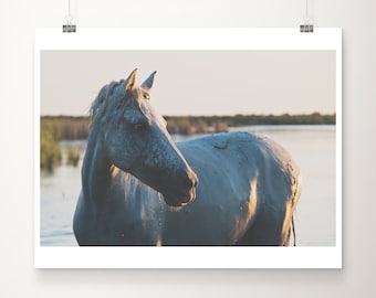horse photograph, Camargue Horse print, wild horses print, Camargue print, horse portrait, Provence photograph, South of France print