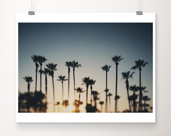 Long Beach Palm Tree Sunset Photograph: California Tropical Print