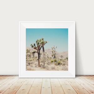 Joshua Tree photograph, Joshua Tree National Park print, California decor, west coast print, Mojave Desert print, wanderlust print