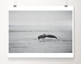 Humpback Whale photograph, Pacific Ocean print, animal photography, Whale print, Monterey photograph, west coast decor, California print