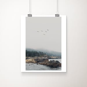 Point Lobos Photograph, Big Sur print, California wall art, west coast decor, Pacific Ocean print, wilderness decor, birds in flight
