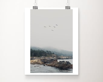 Point Lobos Photograph, Big Sur print, California wall art, west coast decor, Pacific Ocean print, wilderness decor, birds in flight