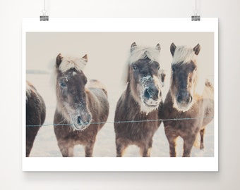 horse photograph, animal photography, horses in snow photograph, rustic decor, nursery wall art