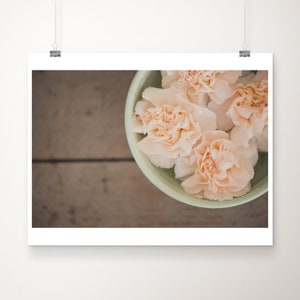 peach carnation photograph, still life flower print, rustic decor, large wall art