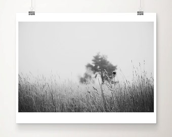 black and white tree photograph, English winter fog print, nature photography, minimalist decor