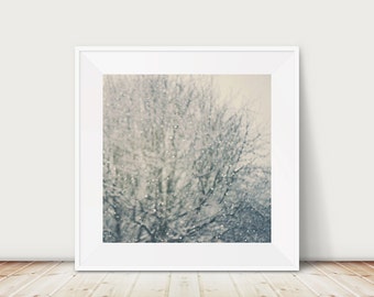 falling snow photograph, surreal tree print, English winter art, neutral home decor