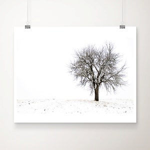 winter landscape photograph, snow covered tree print, large wall art, minimalist decor, German landscape, snow photograph