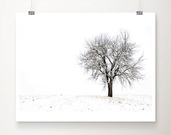 Snow Covered Tree Print: Minimalist Winter Landscape Photograph