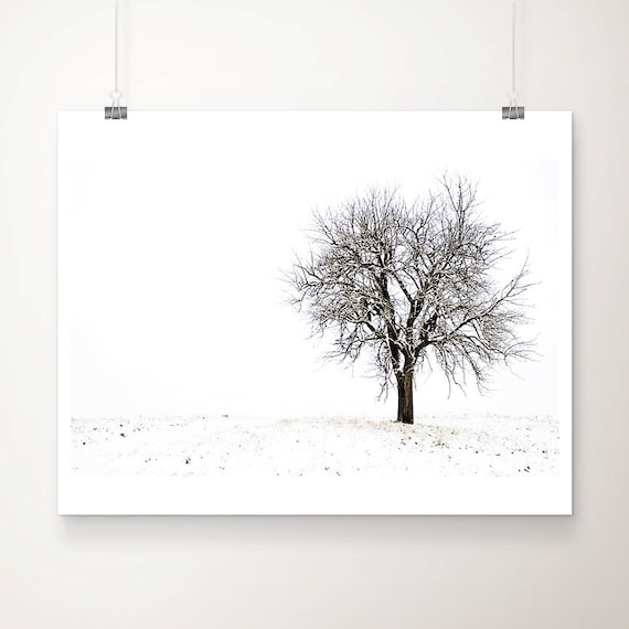 Snow Photography Tree Photograph Winter Landscape Photograph | Etsy