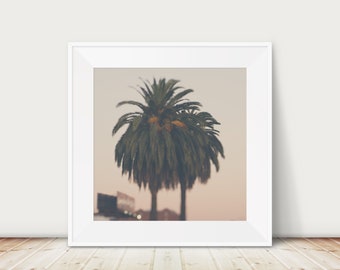 California Sunset Palm Tree Print: Los Angeles Photography