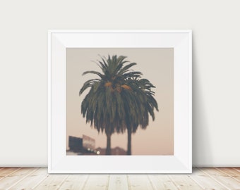 California sunset print, Los Angeles print, palm tree photograph, travel photography, LA photograph, tropical decor, west coast decor, pink