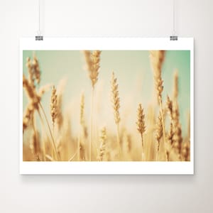 wheat field photograph, rustic decor, countryside print, large wall art, nature photography, botanical print