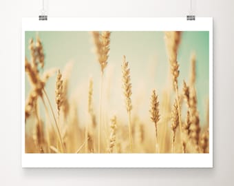 wheat field photograph, rustic decor, countryside print, large wall art, nature photography, botanical print