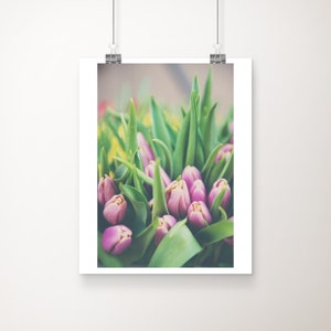 pink tulip photograph, pink flower print, farmers market art, Covent Garden print, London photograph, floral decor, pink tulip print