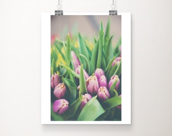 pink tulip photograph, pink flower print, farmers market art, Covent Garden decor, London wall art