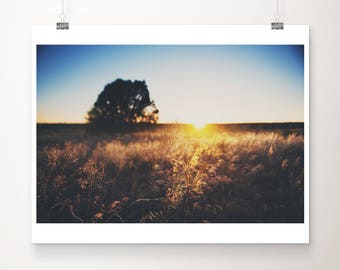 Grand Canyon photograph, Arizona print, sunset photograph, tree print, southwest decor, Arizona sunset print, Arizona travel print