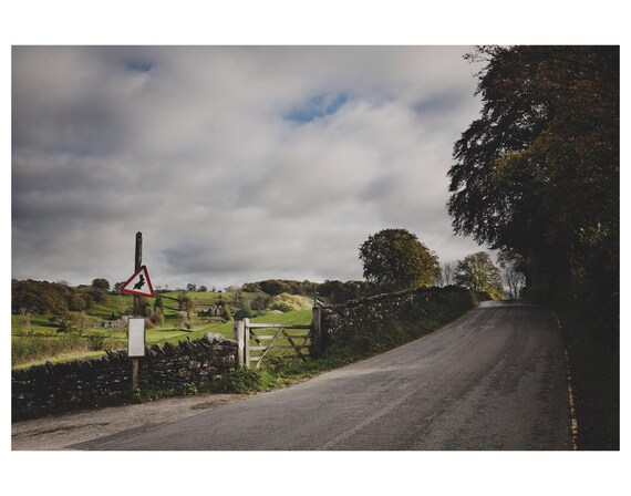 Rabbit Road Casino Logo