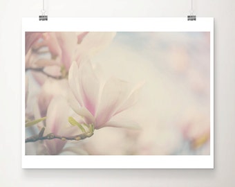 SALE pink magnolia photograph, magnolia tree print, pastel flower print, nature photography, floral decor, discounted botanical art